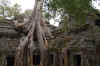 p6.jpg (89555 oCg)