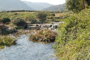 so35.JPG (16352 �o�C�g)