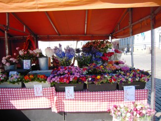 ma8.JPG (42065 �o�C�g)