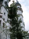 m5.jpg (49233 バイト)