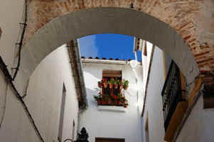 cr31.JPG (73896 �o�C�g)