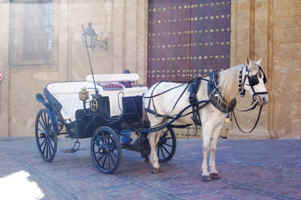 cr8.JPG (72183 �o�C�g)