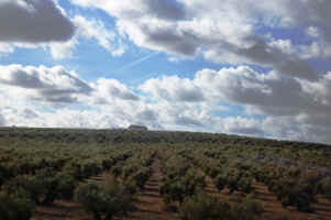 etc14.JPG (76870 �o�C�g)