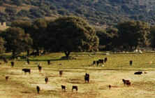 etc16.JPG (60533 �o�C�g)