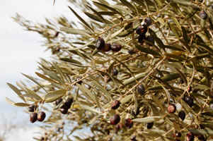 etc19.JPG (80937 �o�C�g)