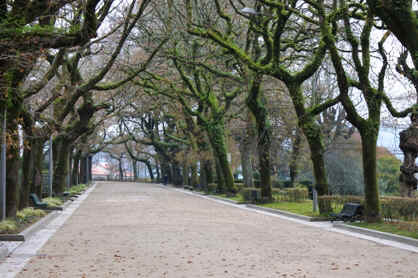 san19.JPG (136445 �o�C�g)