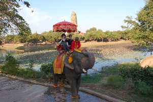 ayu7.jpg (10442 �o�C�g)