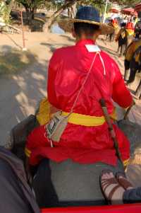 ayu8.jpg (9408 �o�C�g)