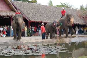 show15.jpg (11827 �o�C�g)